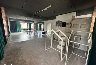 Spațiu comercial, de 195 mp, în Valea Lupului - 2