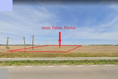 122 ari in Turnu, front 60 m la DN 7B, 15 km de Arad, 1 km d - 3