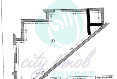 Spatiu special in vila interbelica, Armeneasca - 2