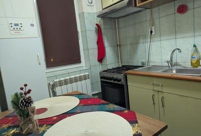 Apartament 2 camere de inchiriat Craiova - 7