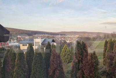 Casa de vanzare in Corunca, ideala pentru 2 familii sau pens - 7