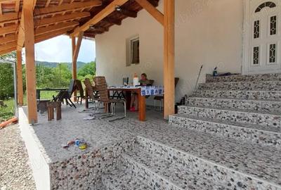 Casă cu Teren 2 Mp în Poieni (Densuș) - 5
