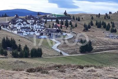 De vanzare teren extravilan 3854 mp acces auto Paltinis Sibiu - 5