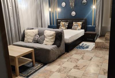 Garsonieră spațioasă la vilă de închiriat Berceni - 1