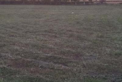 Spațiu comercial, în Cărpiniș - 5