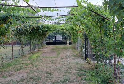 Casă cu 2 camere în Spineni - 7