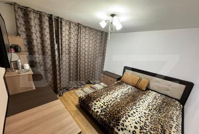 Apartament 3 camere, 66 mp, zona Rovine - Liceul Arghezi - 10