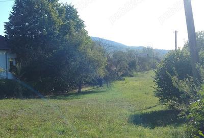 Teren de 2298 mp, în Păușești - 4