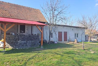 Casă cu 4 camere în Brestovăț - 4