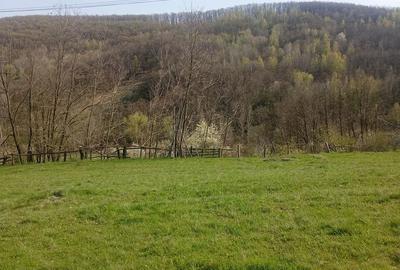 Teren de 8000 mp, în Meteș - 12