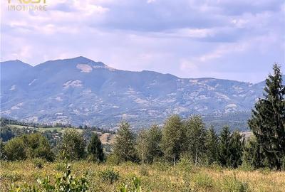 Teren intravilan la munte Pasul Tihuta - 2