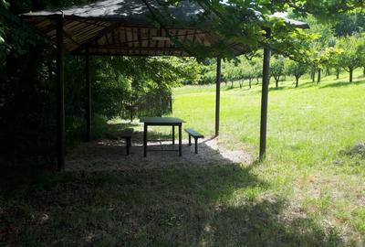 Teren extravilan  de vanzare | 4288 mp | in Gusterita - 5