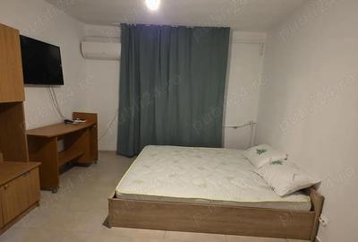 Garsonieră nedecomandată în Blașcovici - 6