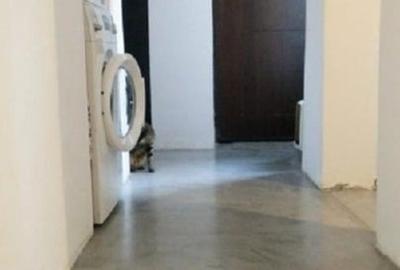 Apartament exclusivist cu 6 camere | Piața Victoriei | Sector 1 - 12