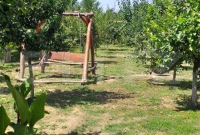 Casă cu 3 camere cu Teren 750 Mp în Dâmbul Rotund - 10