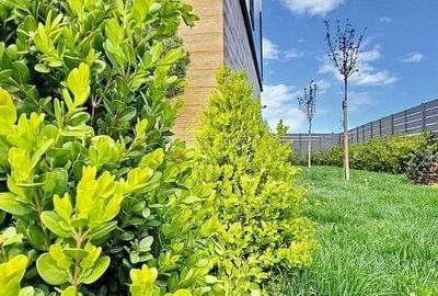 Model Tau Termen finalizare Decembrie 2026 - 4