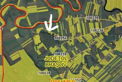 Spațiu comercial, în Lunca Calnicului - 5