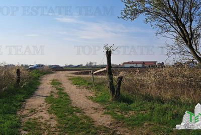 Teren Construcții intravilan de 1171 mp, în Palanca - 5