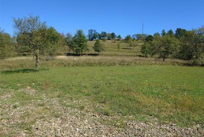 Teren Construcții intravilan de 8757 mp, în Luncoiu de Sus - 8