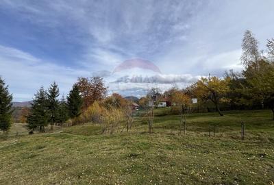 Teren de Vis in Bran - 1000mp Plat, Liniste Absoluta si Aer Curat - 8