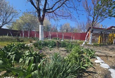 Casă cu 4 camere cu Teren 535 Mp în Central - 8