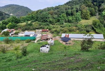 Gospodarie | 315mp | 12 500mp | Ramnicu Valcea - Copacelu | Proprietar - 5