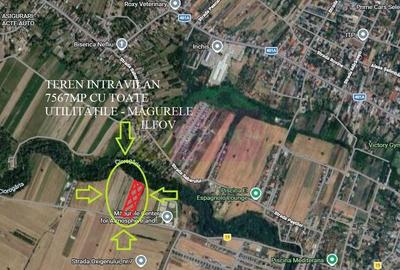 Teren Construcții intravilan de 7567 mp, în Sud - 1