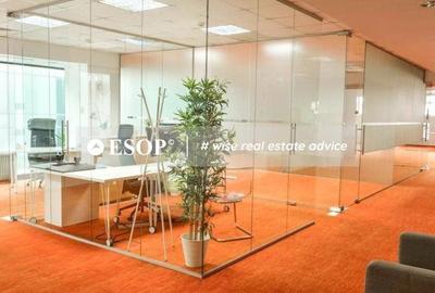Spațiu comercial, de 258 mp, în Romană - 15