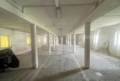 Hale de inchiriat, 676 mp in Dumbravi?a - 1