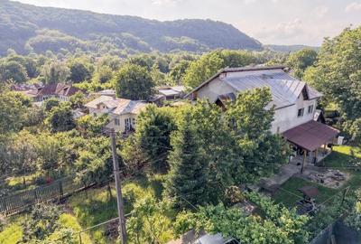 Casă cu 5 camere cu Teren 850 Mp în Pruni - 8