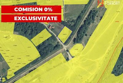 Teren Padure Giroc - Dig Timis 4000 mp - 1