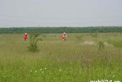 Teren de 620 mp, în Săftica - 2