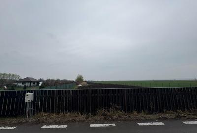 Teren de 6900 mp, în Filipești - 4