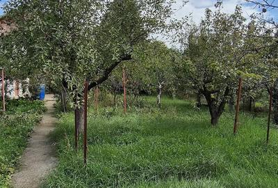 Casă cu Teren 1255 Mp în Crevedia - 2