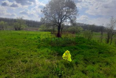 Teren Construcții intravilan de 3400 mp, în Buturugeni - 17
