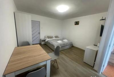 Garsonieră, mobilată în Brazda lui Novac - 4