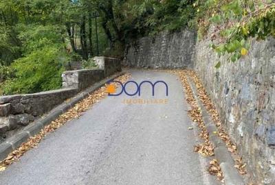 Teren Baile Herculane zona Centrul Istoric Cazinou - 5