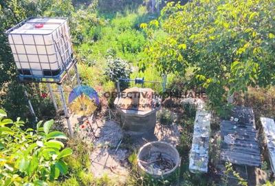 TEREN intravilan 6764 mp DRAGOMIRESTI - VAD - 7