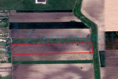 Teren agricol extravilan de 13800 mp, în Satu Nou - 1