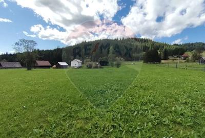 Teren de 14318 mp, în Paltin - 3
