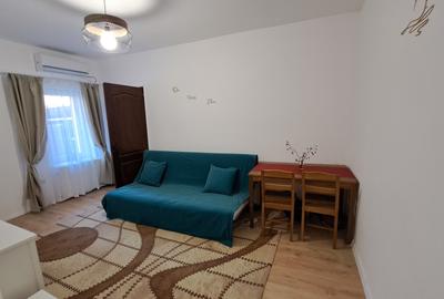 Apartament cu 2 camere decomandat, mobilat în Muncii - 17