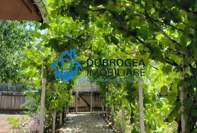 Casă cu 3 camere cu Teren 2250 Mp în Cataloi - 3