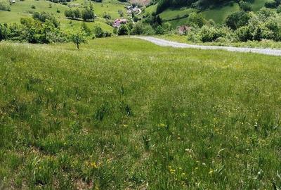 Teren de 7000 mp, în Morărești (Ciuruleasa) - 2