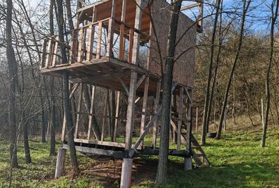 Casă cu 2 camere în Bejan - 7