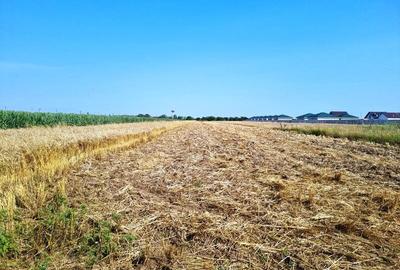 Vanzare Teren intravilan Magurele 5000mp - 6