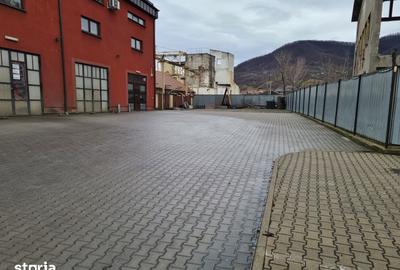 Spațiu comercial, de 400 mp, în Valea Borcutului - 9