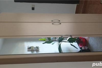 Casă cu 5 camere cu Teren 6000 Mp în Topraisar - 2
