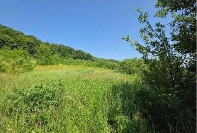 Teren de 2300 mp, în Duda - 6