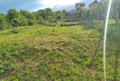 Teren Construcții intravilan de 1000 mp, în Daia - 2