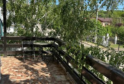 Vila Bucium cod 158289 - 4